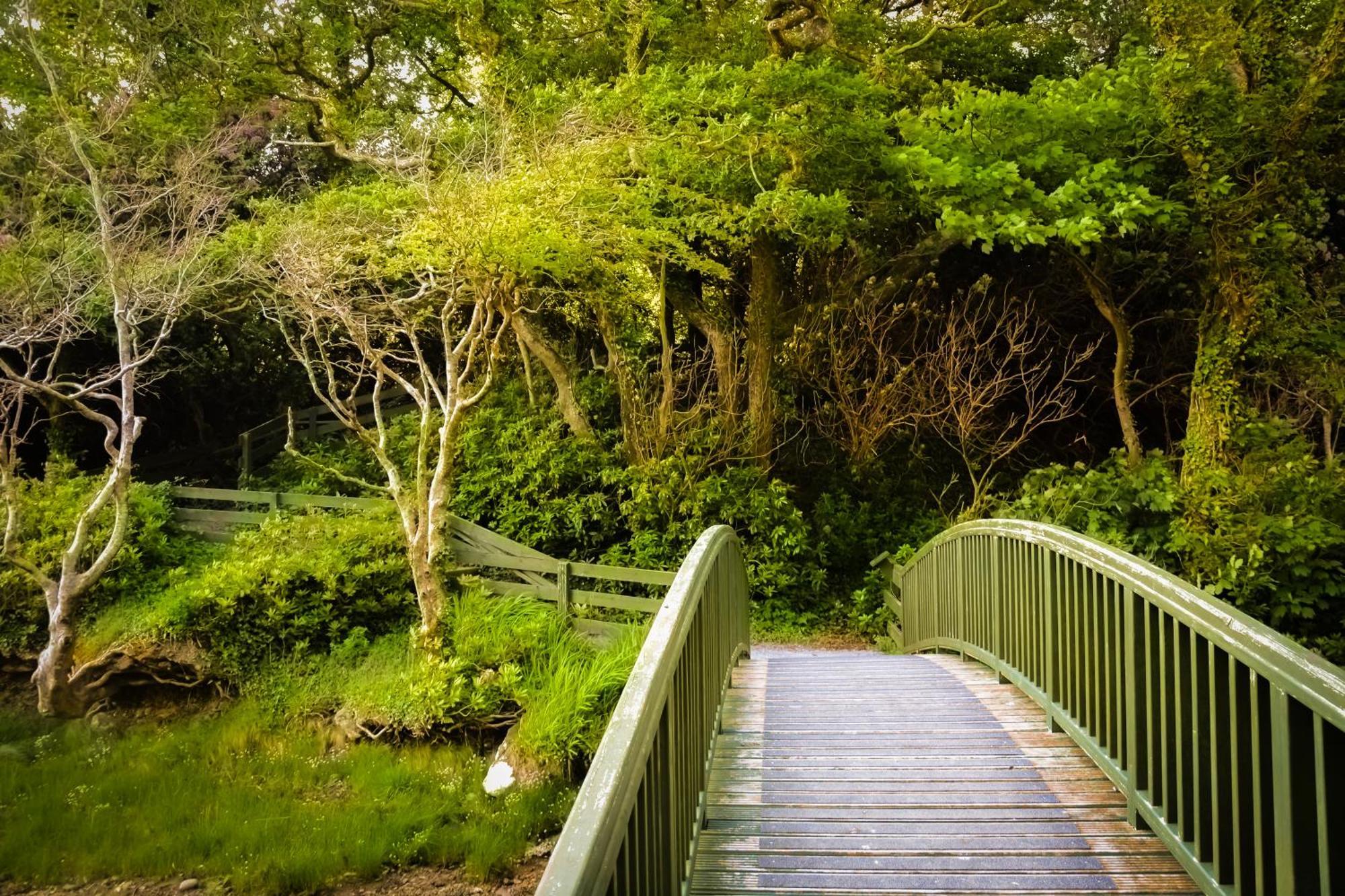Parknasilla Resort & Spa Sneem Exterior photo